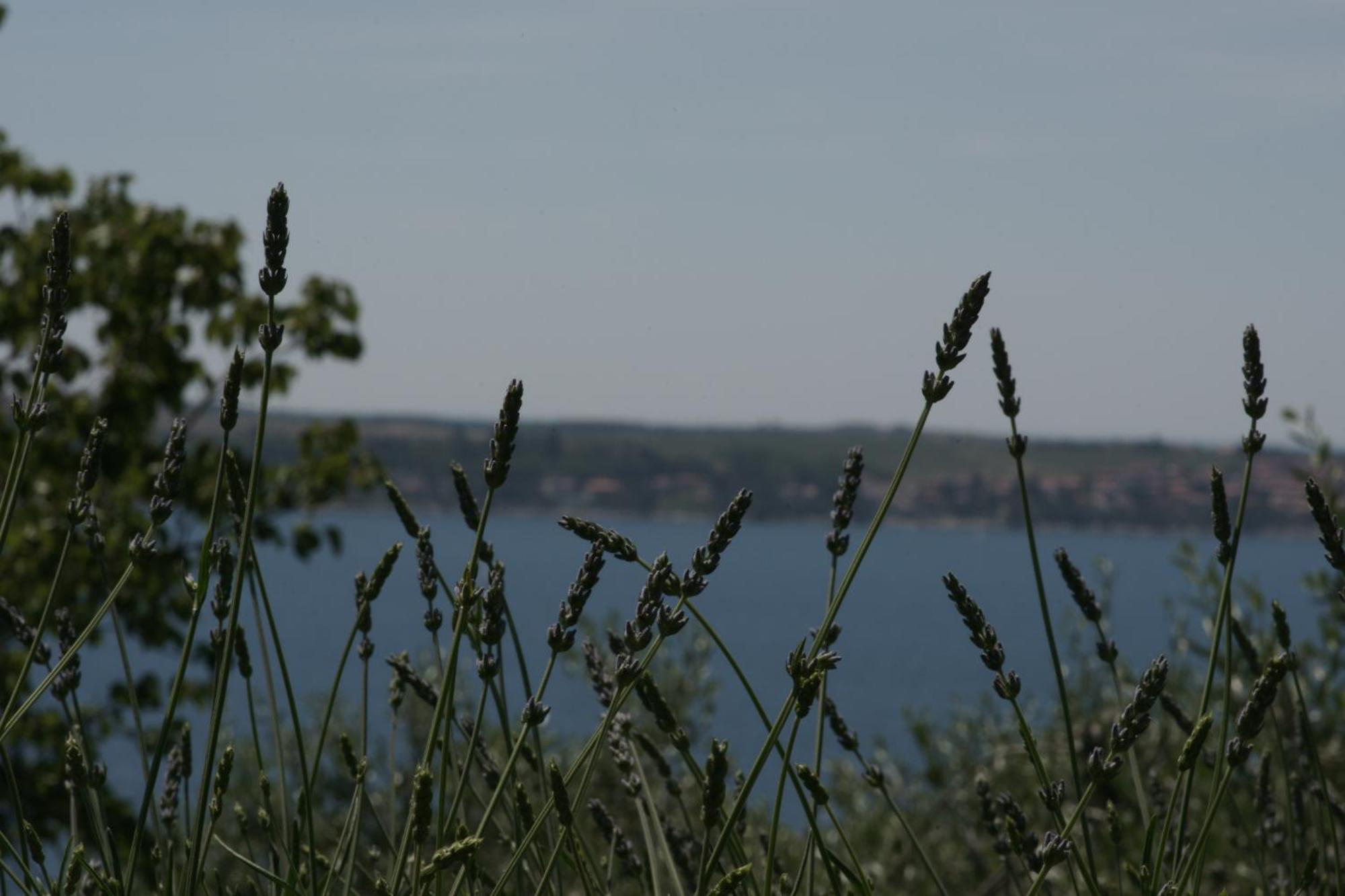 Apartments Hafner Portoroz Exterior photo